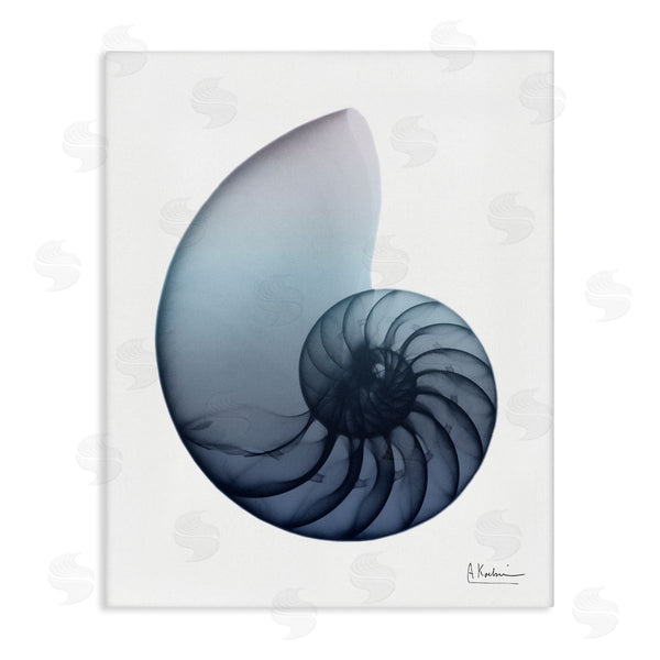 stupell industries Albert Koetsier | Contemporary Nautilus Shell