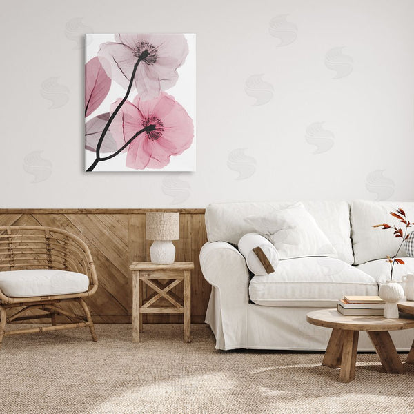 Stupell Industries Albert Koetsier | Contemporary Pink Poppies Wall Art