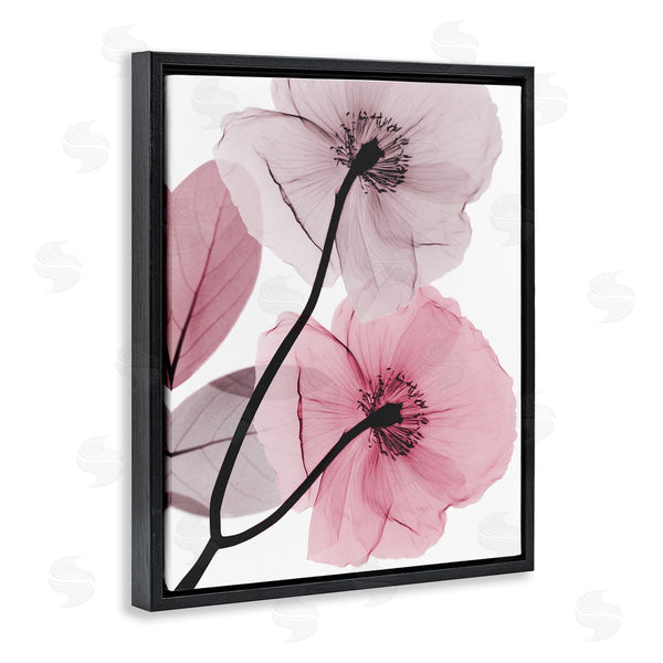 Stupell Industries Albert Koetsier | Contemporary Pink Poppies Wall Art