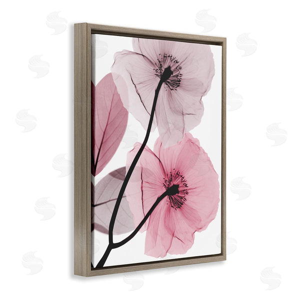 Stupell Industries Albert Koetsier | Contemporary Pink Poppies Wall Art