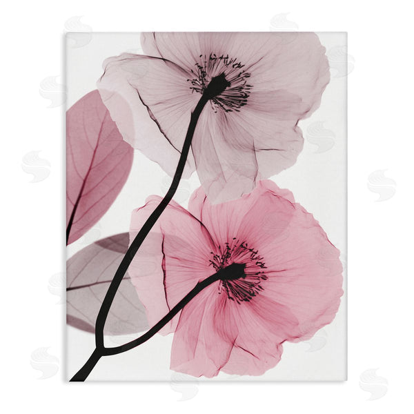 stupell industries Albert Koetsier | Contemporary Pink Poppies Wall Art