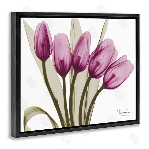Stupell Industries Albert Koetsier | Contemporary Pink Tulips Wall Art