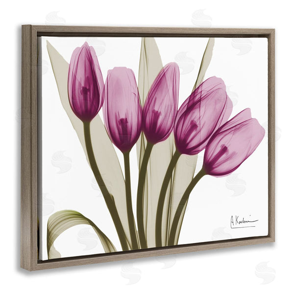 Stupell Industries Albert Koetsier | Contemporary Pink Tulips Wall Art