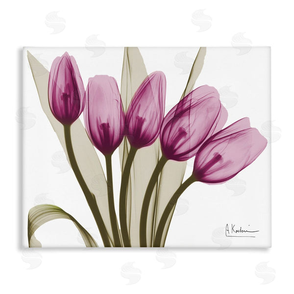stupell industries Albert Koetsier | Contemporary Pink Tulips Wall Art