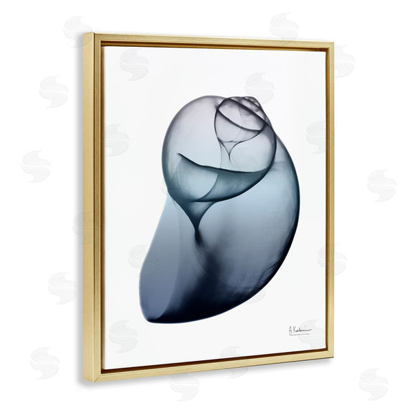 Stupell Industries Albert Koetsier | Contemporary Snail Shell