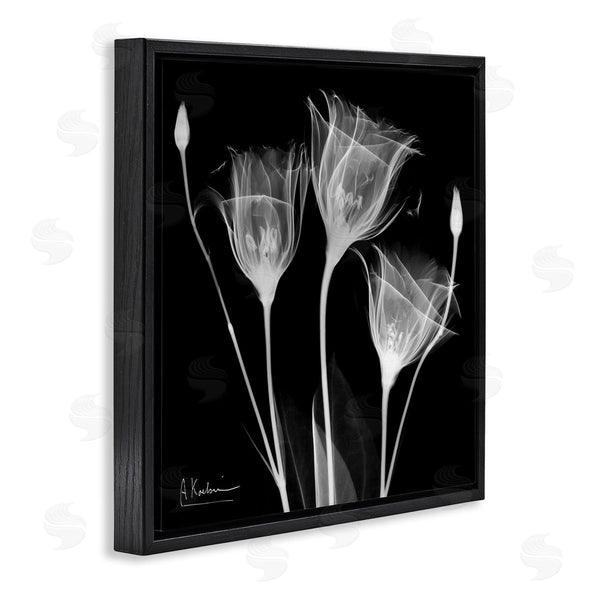 Stupell Industries Albert Koetsier | Contemporary Tulip X-Ray Wall Art