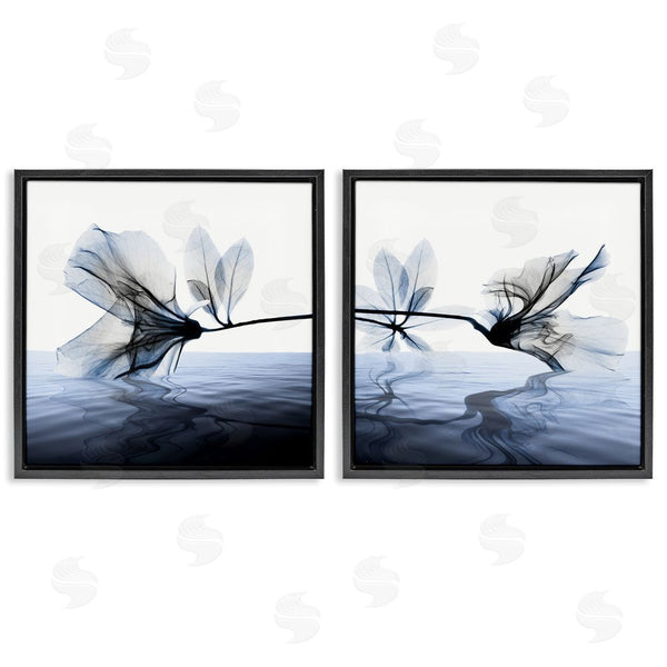 Stupell Industries Albert Koetsier | Contrast Black & Blue Flower Water Designs Wall Art