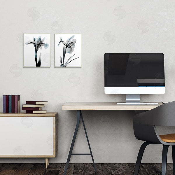 Stupell Industries Albert Koetsier | Contrast Black & Blue Flowers Wall Art
