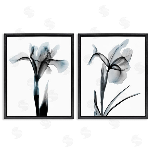 Stupell Industries Albert Koetsier | Contrast Black & Blue Flowers Wall Art