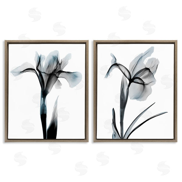 Stupell Industries Albert Koetsier | Contrast Black & Blue Flowers Wall Art