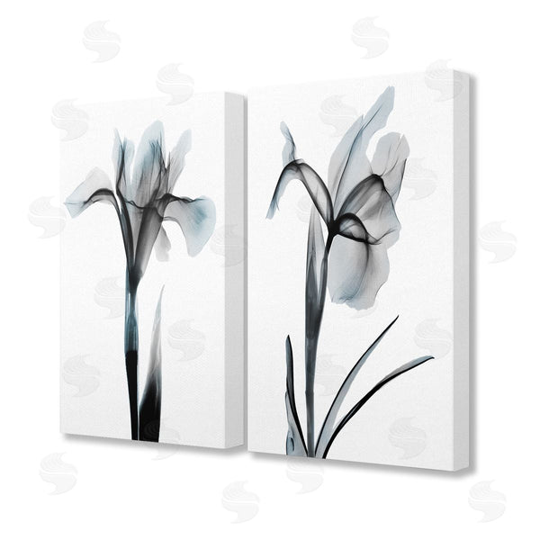 stupell industries Albert Koetsier | Contrast Black & Blue Flowers Wall Art