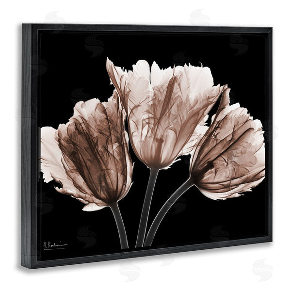 Stupell Industries Albert Koetsier | Crisp Tulips On Black