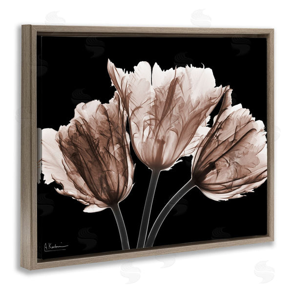 Stupell Industries Albert Koetsier | Crisp Tulips On Black