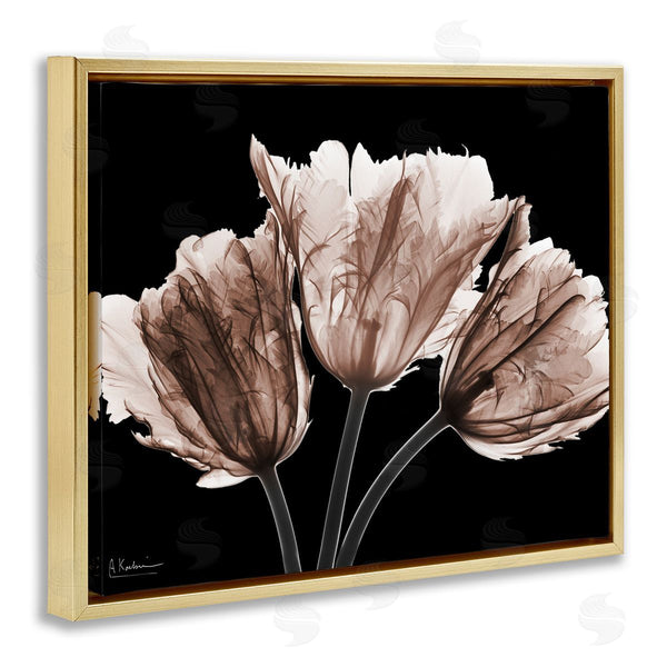 Stupell Industries Albert Koetsier | Crisp Tulips On Black