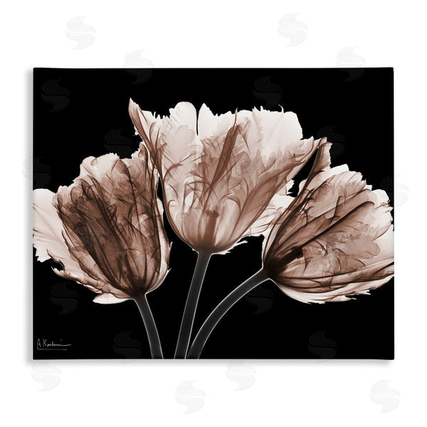 stupell industries Albert Koetsier | Crisp Tulips on Black