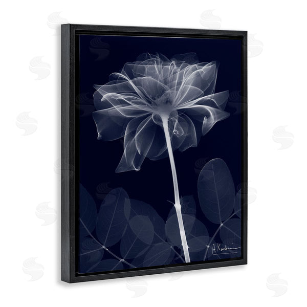 Stupell Industries Albert Koetsier | Dark Flower Shape Wall Art