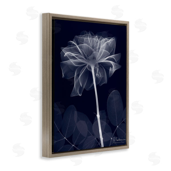 Stupell Industries Albert Koetsier | Dark Flower Shape Wall Art
