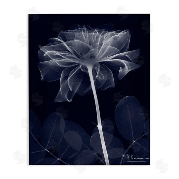 stupell industries Albert Koetsier | Dark Flower Shape Wall Art