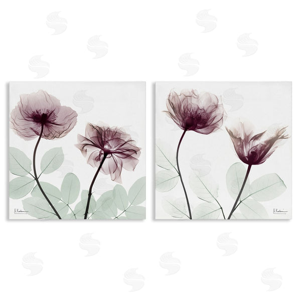 stupell industries Albert Koetsier | Delicate Mauve Flowers
