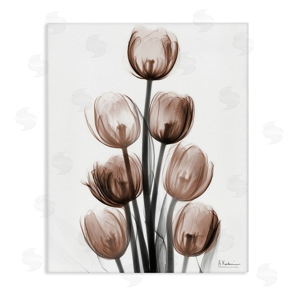 stupell industries Albert Koetsier | Delightful Mocha Tulips