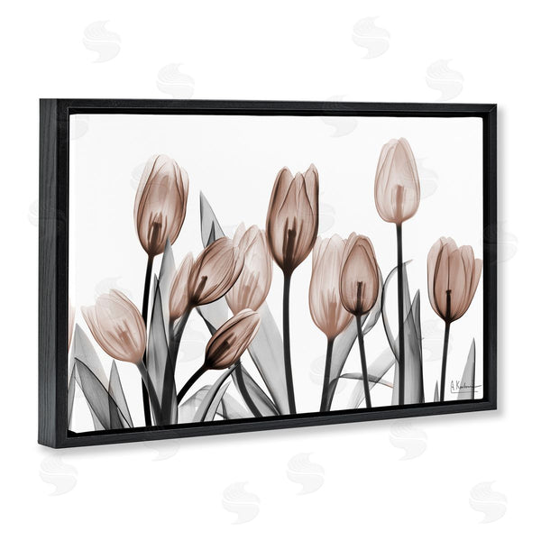 Stupell Industries Albert Koetsier | Dramatic Mocha Tulips