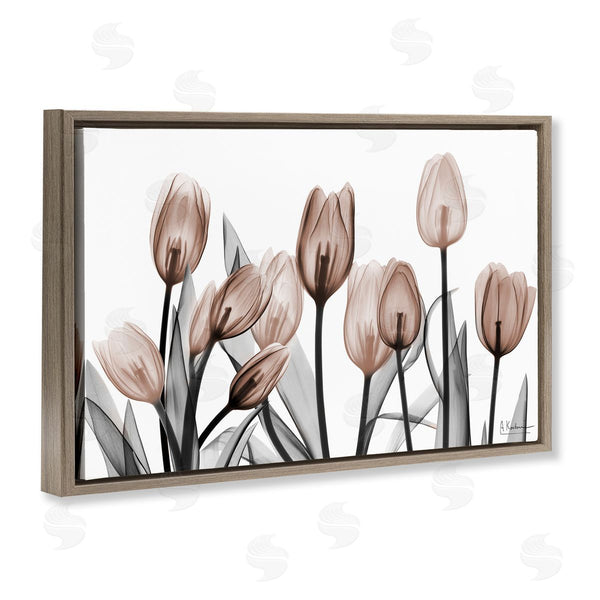 Stupell Industries Albert Koetsier | Dramatic Mocha Tulips