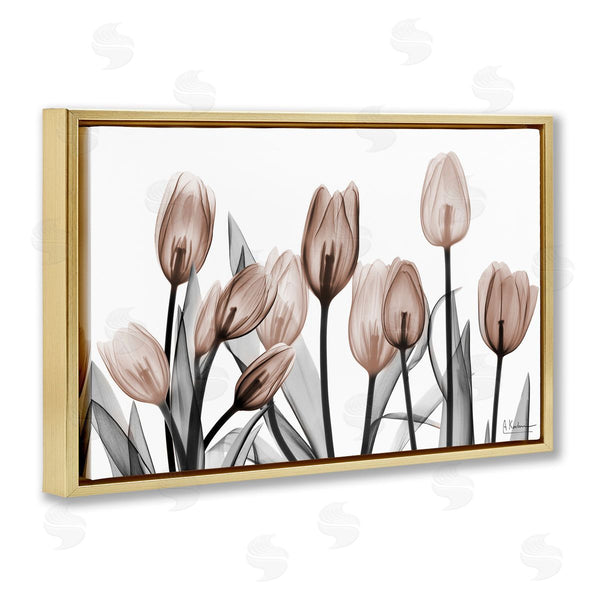 Stupell Industries Albert Koetsier | Dramatic Mocha Tulips