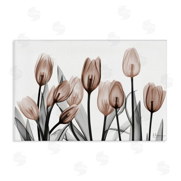 stupell industries Albert Koetsier | Dramatic Mocha Tulips