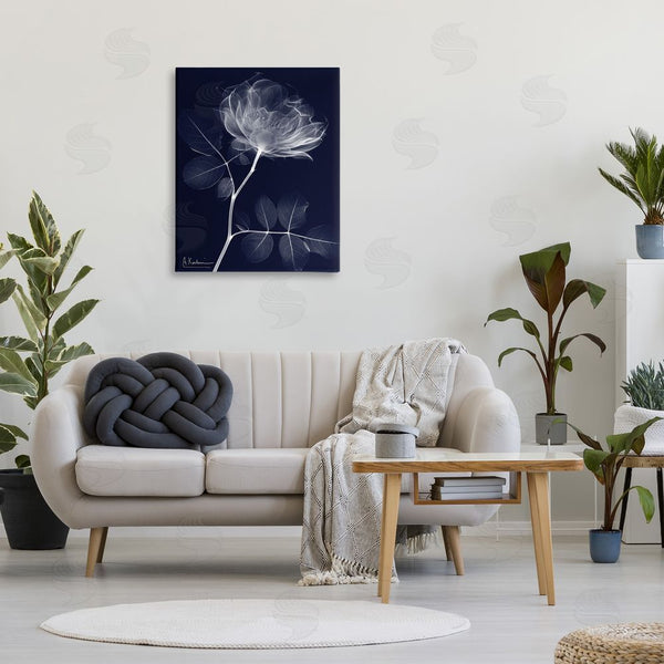 Stupell Industries Albert Koetsier | Dynamic Dark Flower Wall Art