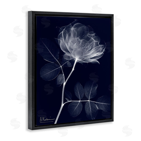 Stupell Industries Albert Koetsier | Dynamic Dark Flower Wall Art