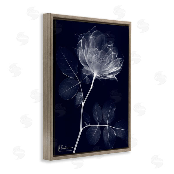 Stupell Industries Albert Koetsier | Dynamic Dark Flower Wall Art
