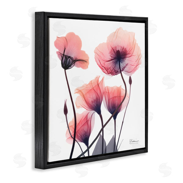 Stupell Industries Albert Koetsier | Elegant Modern Poppy Buds