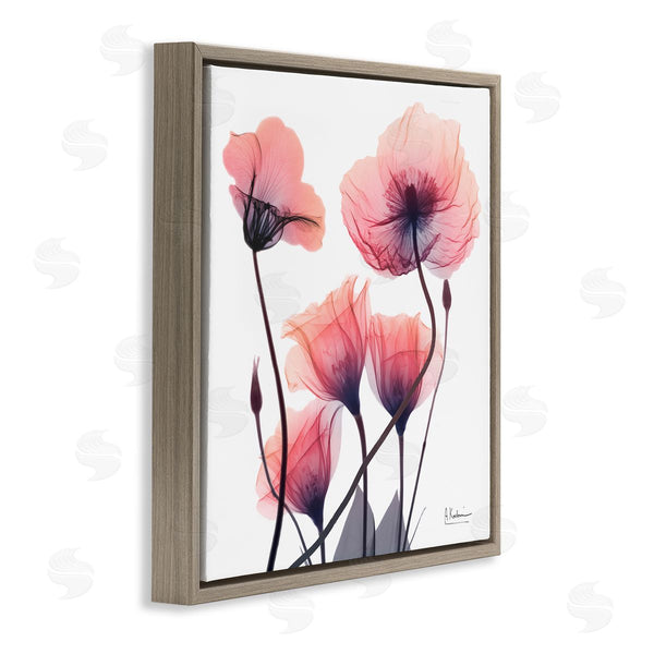 Stupell Industries Albert Koetsier | Elegant Modern Poppy Buds