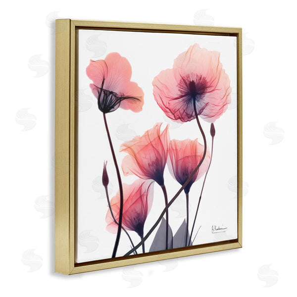 Stupell Industries Albert Koetsier | Elegant Modern Poppy Buds