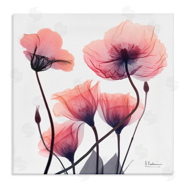 stupell industries Albert Koetsier | Elegant Modern Poppy Buds
