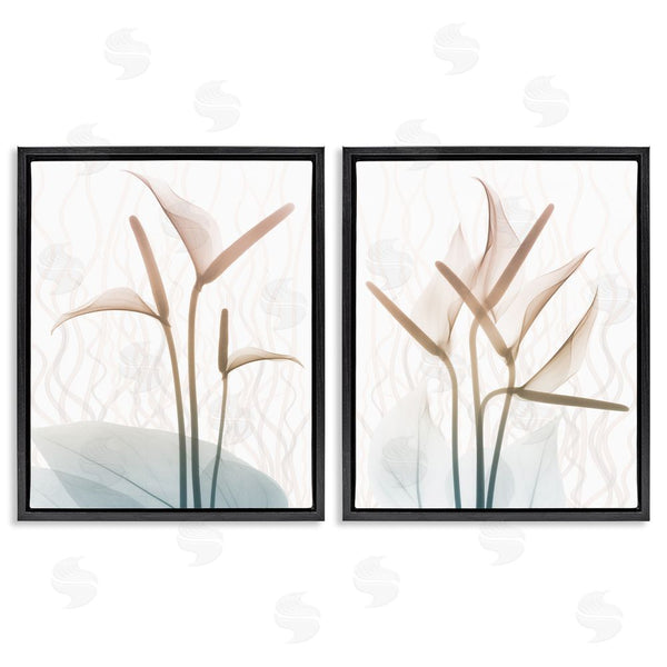 Stupell Industries Albert Koetsier | Floral Calla Lily Silhouette With Leaf Details Wall Art