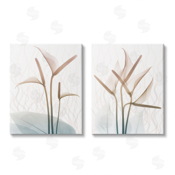 stupell industries Albert Koetsier | Floral Calla Lily Silhouette with Leaf Details Wall Art