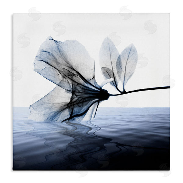 stupell industries Albert Koetsier | Flower Touching Water Blue Photograph