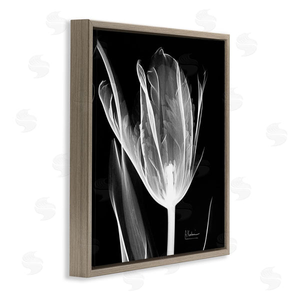 Stupell Industries Albert Koetsier | Flower X-Ray On Black Wall Art