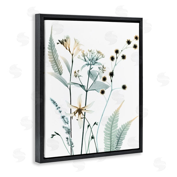 Stupell Industries Albert Koetsier | Forest Garden Botanicals Translucent Plant Photography Wall Art