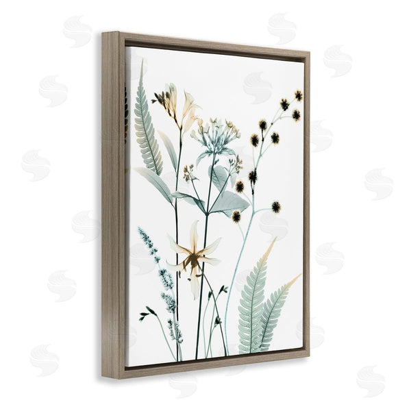 Stupell Industries Albert Koetsier | Forest Garden Botanicals Translucent Plant Photography Wall Art