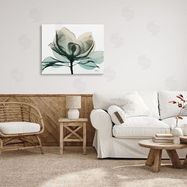 Stupell Industries Albert Koetsier | Green X-Ray Flower Wall Art