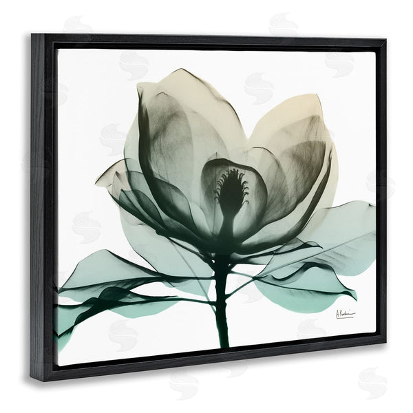 Stupell Industries Albert Koetsier | Green X-Ray Flower Wall Art