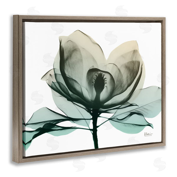 Stupell Industries Albert Koetsier | Green X-Ray Flower Wall Art