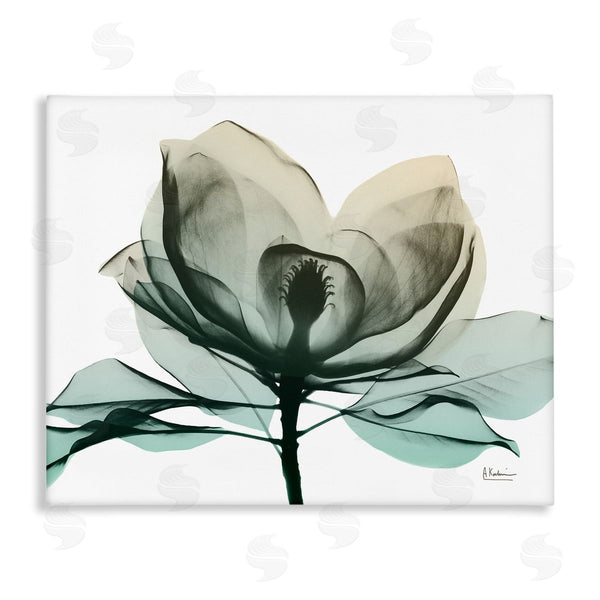 stupell industries Albert Koetsier | Green X-Ray Flower Wall Art