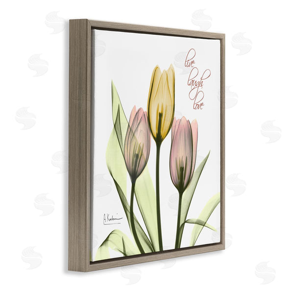 Stupell Industries Albert Koetsier | Live Laugh Love Tulips