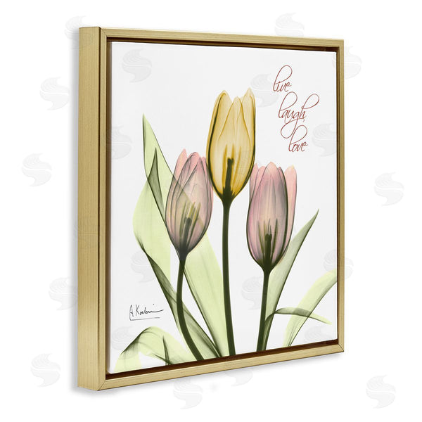 Stupell Industries Albert Koetsier | Live Laugh Love Tulips