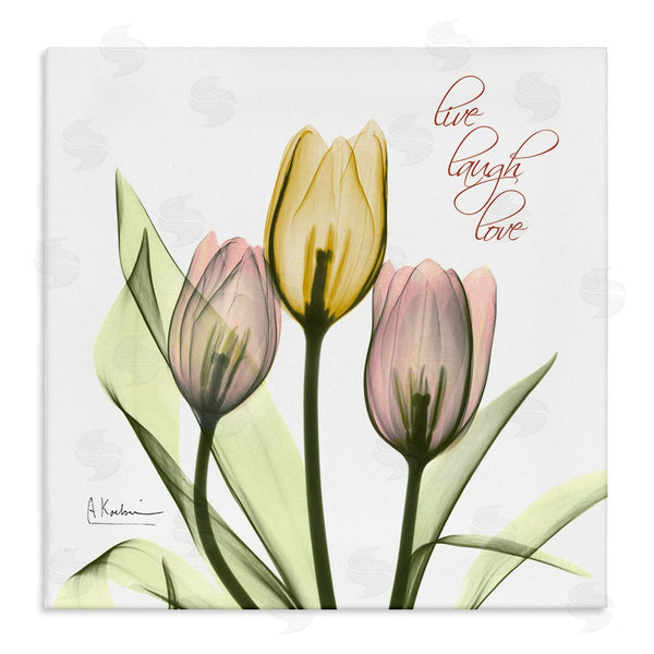 stupell industries Albert Koetsier | Live Laugh Love Tulips