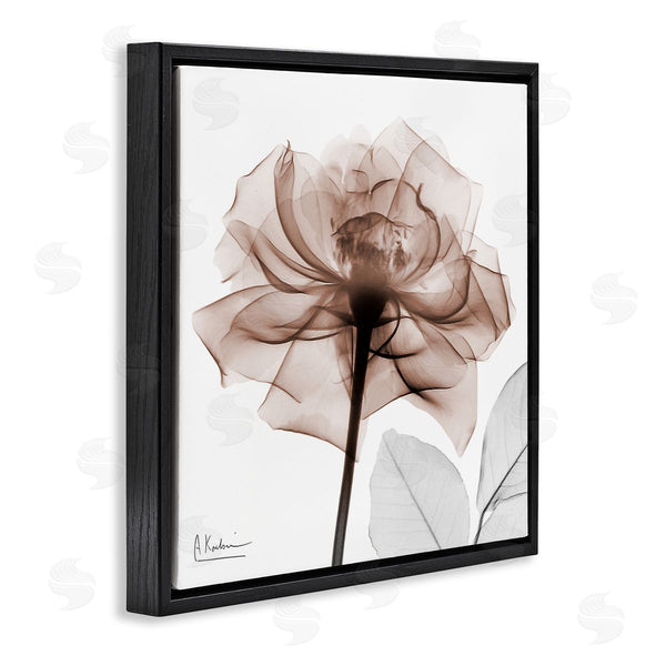 Stupell Industries Albert Koetsier | Minimal Mocha Rose