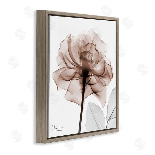 Stupell Industries Albert Koetsier | Minimal Mocha Rose